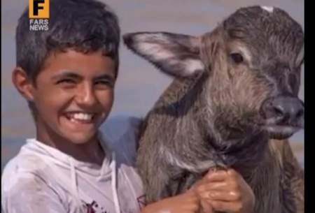 شادی نوجوان خوزستانی از نجات گاومیش‌ها