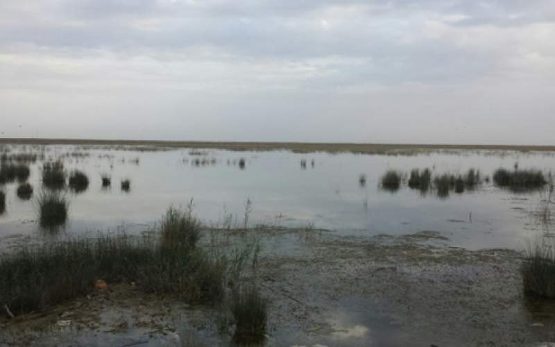 به زبان ساده؛ خوزستان چگونه خشک شد؟