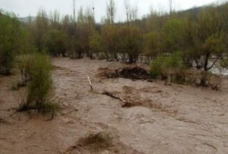 اتفاق نادر در بارش های جنوب شرق ایران
