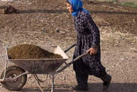 آمار عجیب از واردات لاستیک فرغون به ایران