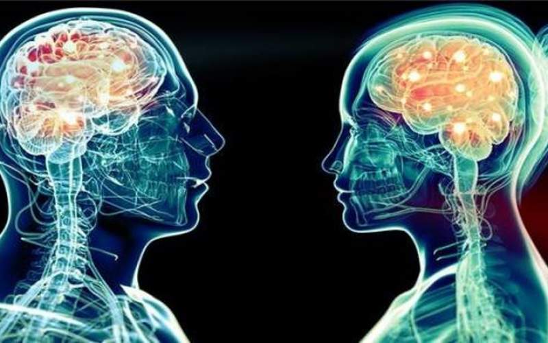مغز زنان کوچکتر است یا مغز مردان؟