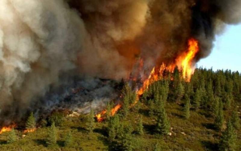 تداوم آتش‌سوزی در جنگل‌های ارسباران