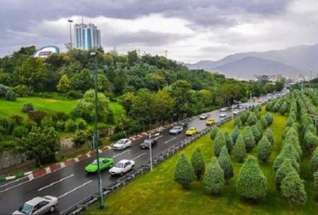 عدالت فضای سبز درمحلات تهران رعایت نمی‌شود