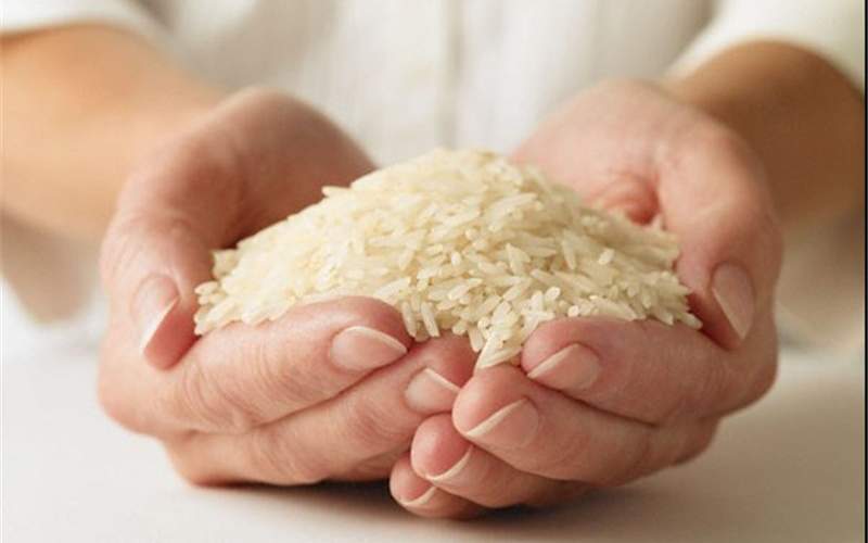 قیمت یک کیلو برنج به ۴۵هزار تومان رسید
