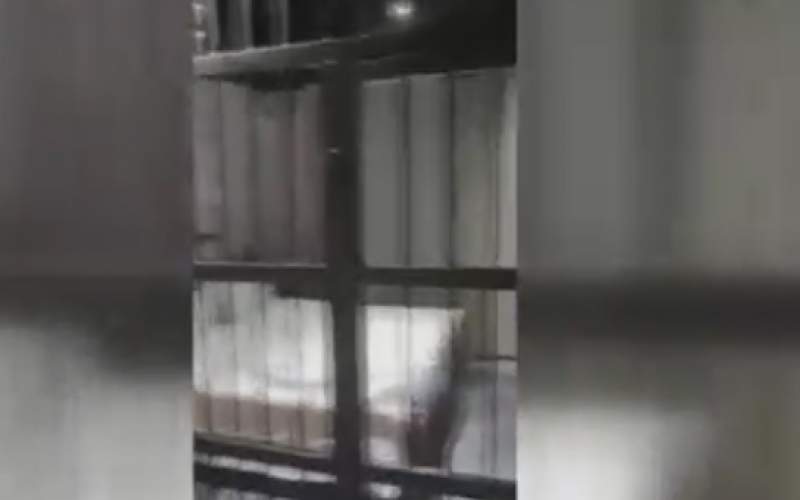 هتلی جذاب به شکل زندان در ووهان چین
