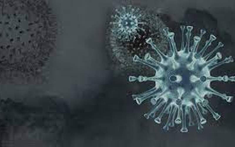 نگرانی از احتمال ترکیب دو ویروس دلتا و لاندا