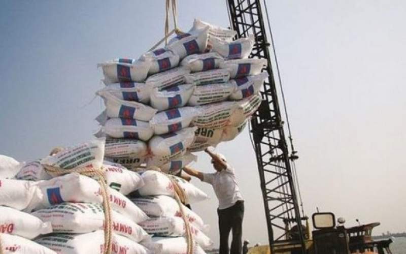 کاهش ۶۹ درصدی واردات برنج در تیر ماه