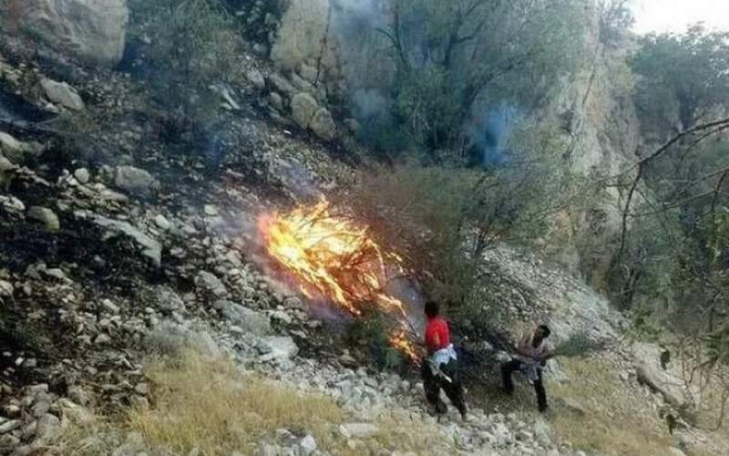 ‌آتش دوباره به جان کوه‌های برز فیروزآباد افتاد