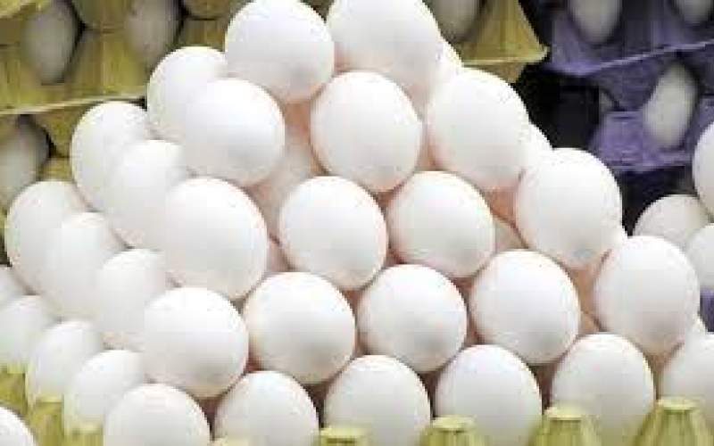 رونق تخم مرغ به دنبال گرانی محصولات پروتئینی