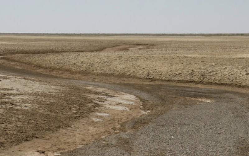 ۹۸درصد از تالاب بین المللی گاوخونی خشک است