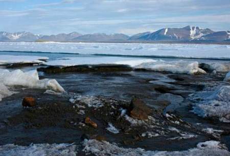 کشف تصادفی یک جزیره در قطب شمال