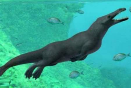 کشف نهنگ ۴۳ میلیون ساله‌ای در مصر