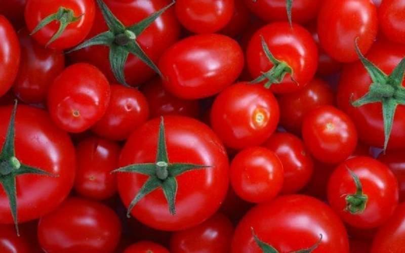 کمبود گوجه فرنگی قیمت  رُب را گران کرد