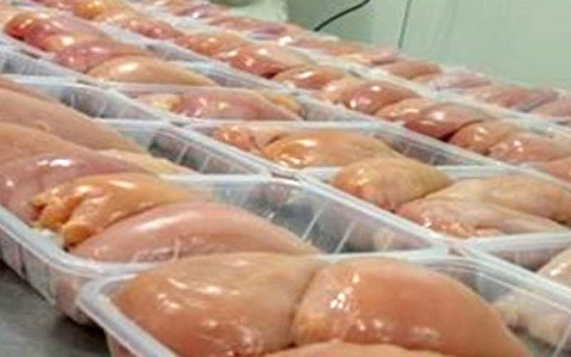 قیمت انواع مرغ و تخم مرغ در ۹ شهریور ۱۴۰۰