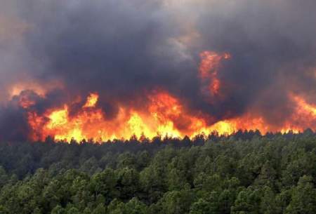عوارض جانبی آتش سوزی‌ جنگل ها