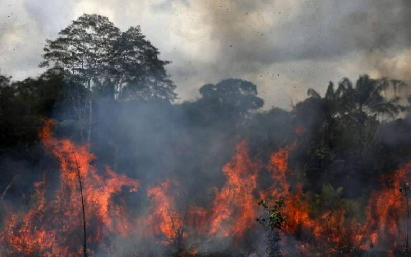 تشدید آتش سوزی های جنگلی آمازون در برزیل