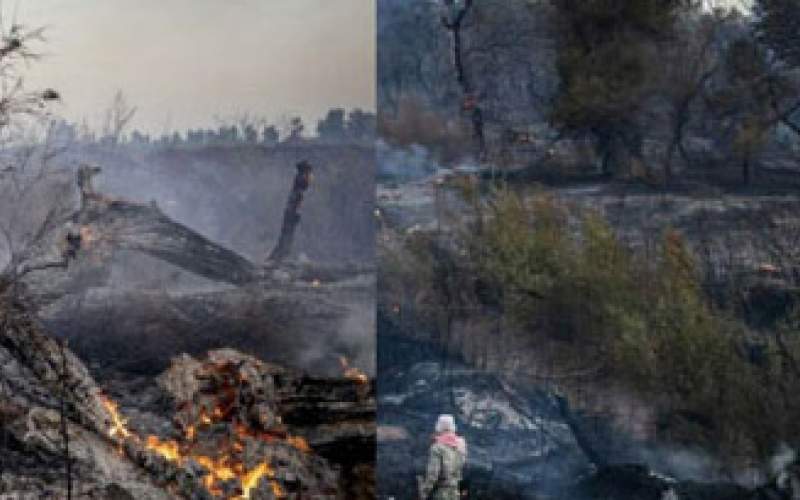 تصاویری از آتش‌سوزی در جنگل‌های کرخه
