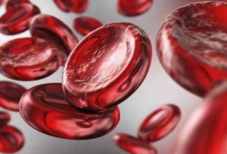 افزایش هموگلوبین خون با این ۶ ماده غذایی