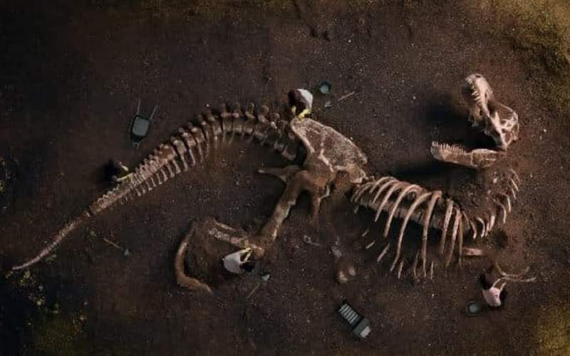 حقایقی جالب از دایناسور‌ها که شاید ندانید