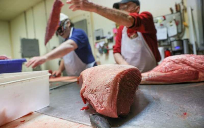 آمریکا برای کنترل قیمت گوشت دست بکار شد