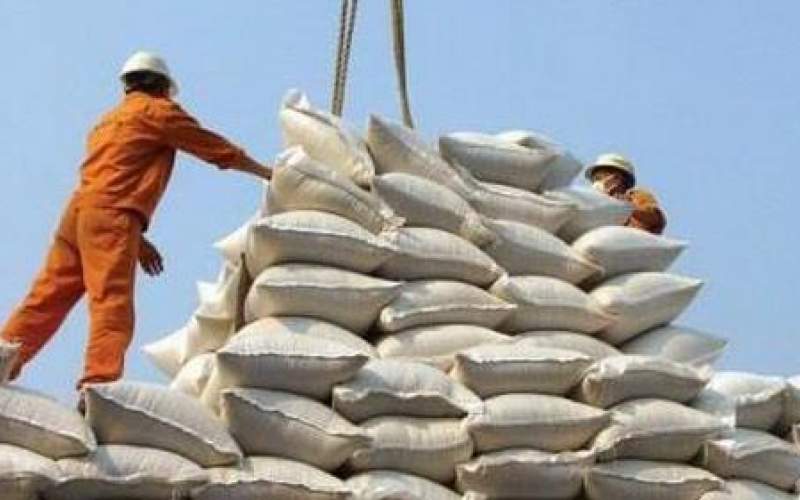 کاهش ۵٠ درصدی واردات برنج در سال جاری