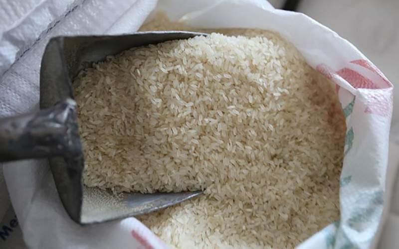 قیمت‌های عجیب انواع برنج در بازار/جدول