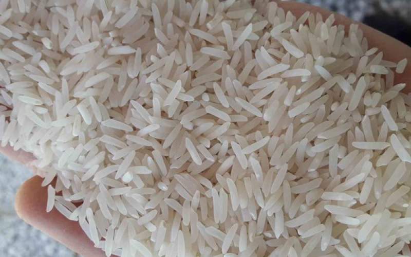 70 هزار تن برنج در گمرک رسوب کرده است
