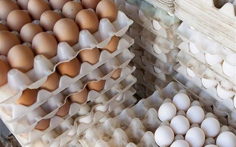 قیمت هرشانه تخم مرغ بیش از ۵۰ هزار تومان