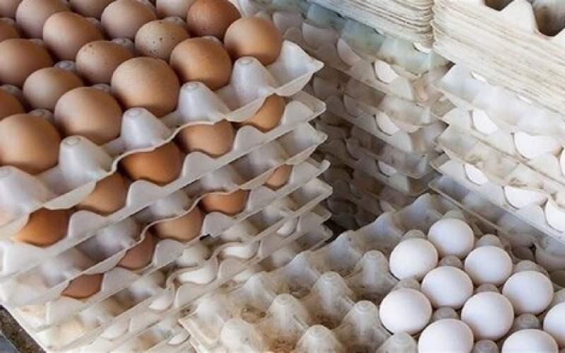 تنظیم بازار تخم‌مرغ با واردات از کشورهای همسایه
