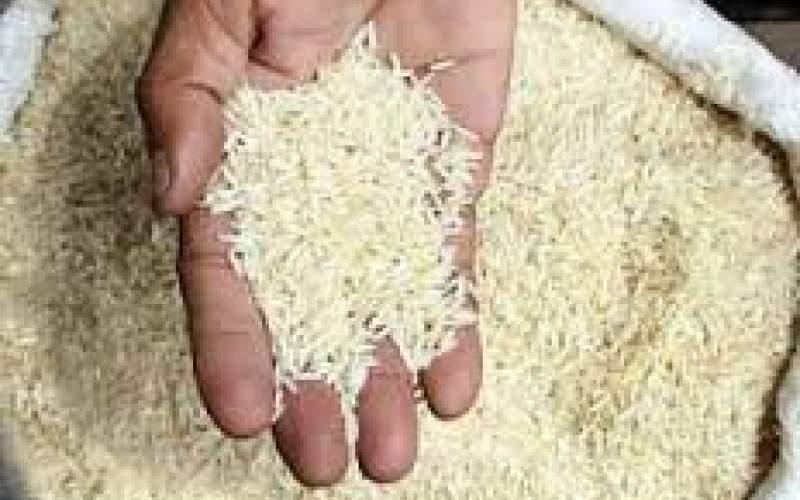 مردم توان مصرف برنج ۵۰هزار تومانی را ندارند