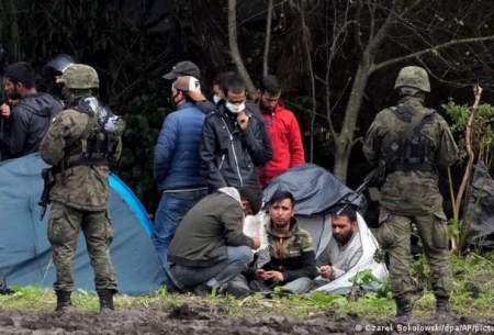 كشف جسد چهار پناهجو در مرز بلاروس