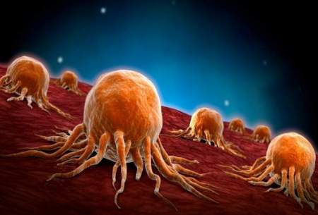 کشف راهی جدید برای مبارزه با سلول سرطانی