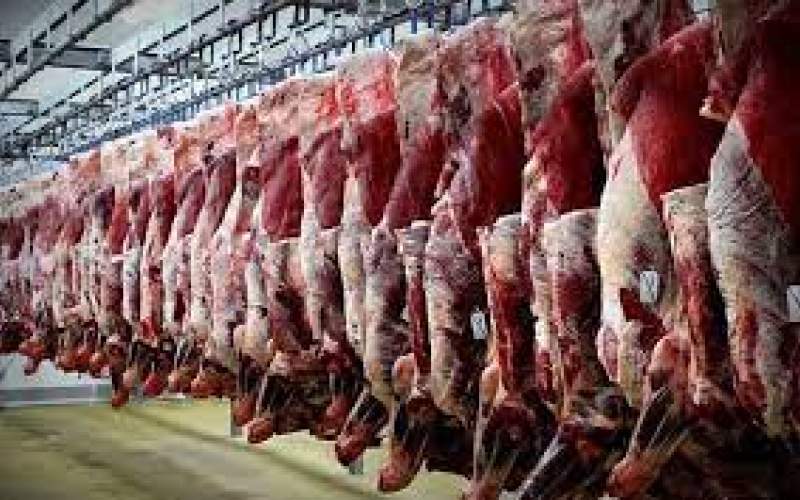 عرضه ۵۲.۸ هزار تن گوشت به کشتارگاه‌ها