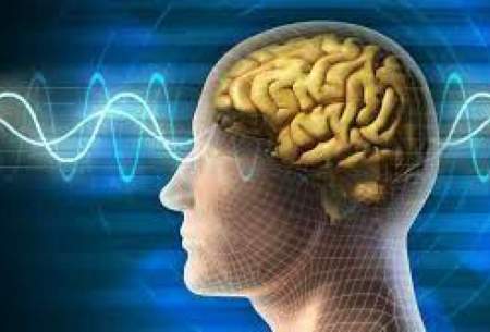 روش متخصصان مغز برای تقویت حافظه