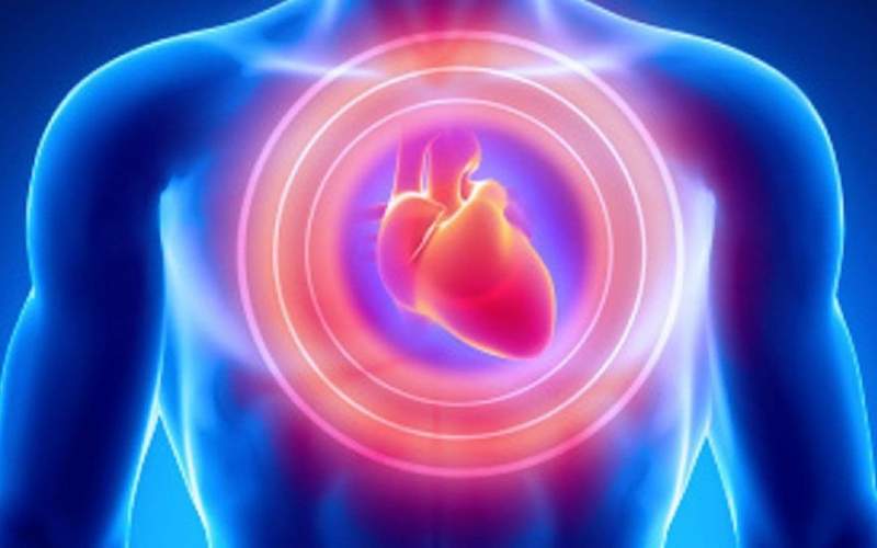 کشف روشی برای ترمیم آسیب ناشی از حملات قلبی