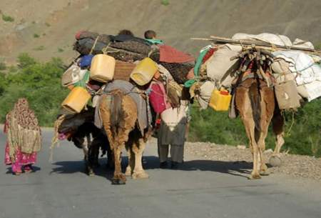 طالبان سرکوب و فشار بر شیعیان را از سر گرفت