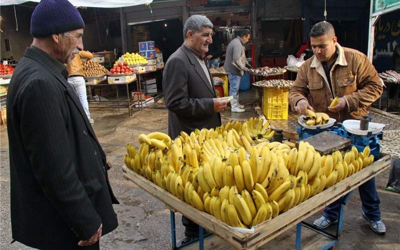 دخالت دولت در بازار میوه، موز را کمیاب کرد