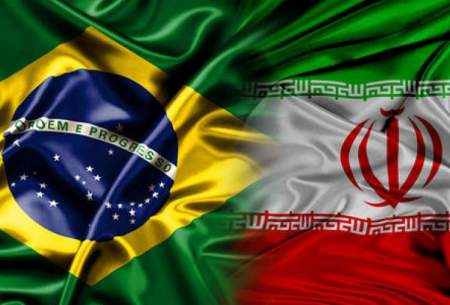 واردات نهاده‌های دامی از برزیل رو به کاهش است