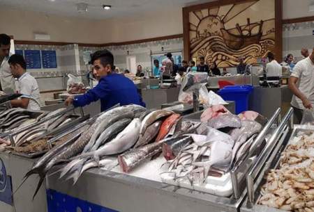 رشد ۳۵درصدی قیمت انواع ماهی /جدول