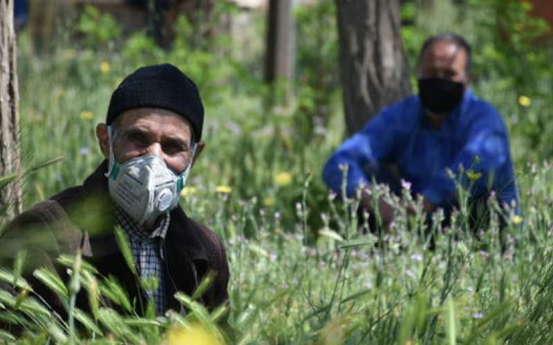 سونامی سالخوردگی ایران را تهدید می کند