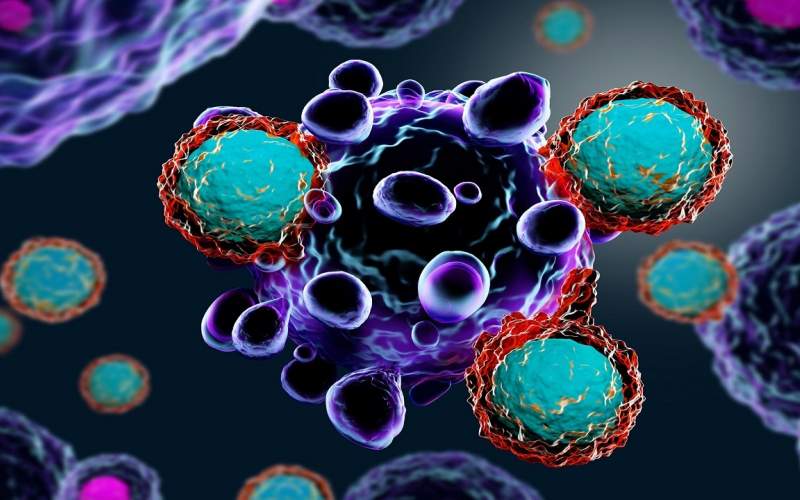 آموزش سلول ایمنی کشنده برای مقابله با سرطان