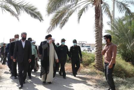 حل مشکل آب نخلستان‌های بوشهر در اولویت است