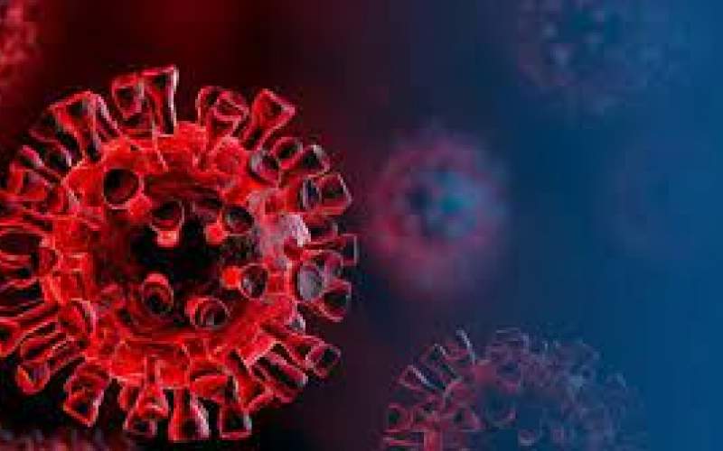 افزایش ابتلا به ویروس کرونا در ۲ مرکز بهزیستی