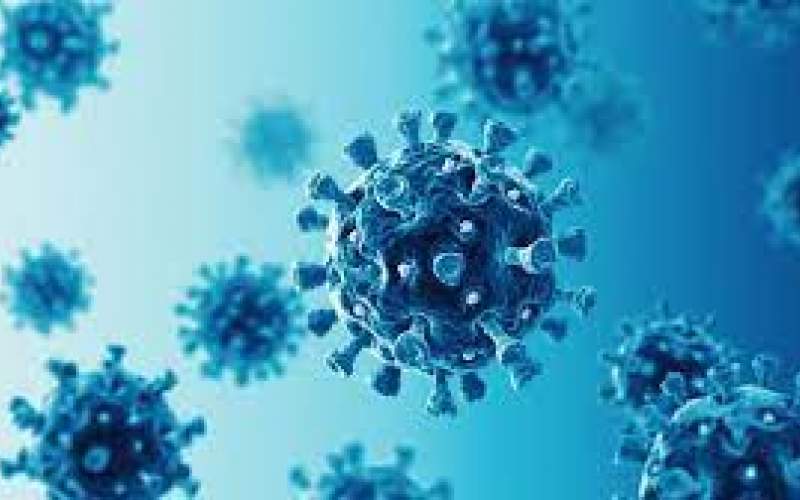 ویروس کرونا همچنان درمان قطعی ندارد