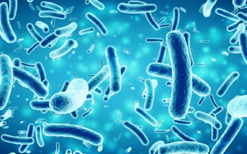 چگونه بدن انسان در برابر باکتری وبا مقاومت می‌کند؟