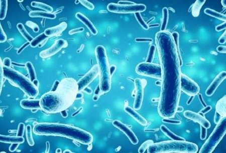 چگونه بدن انسان در برابر باکتری وبا مقاومت می‌کند؟