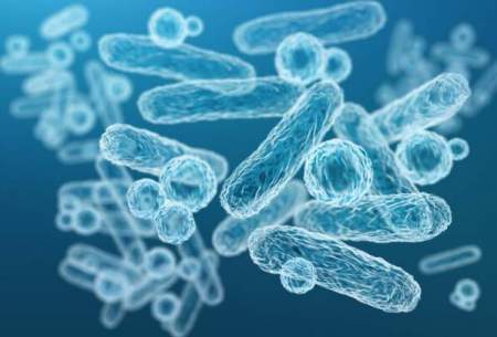 بررسی مقاومت آنتی‌بیوتیکی یک نوع باکتری روده