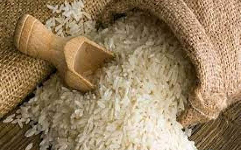 گرانی برنج با ابزار واردات مدیریت شود