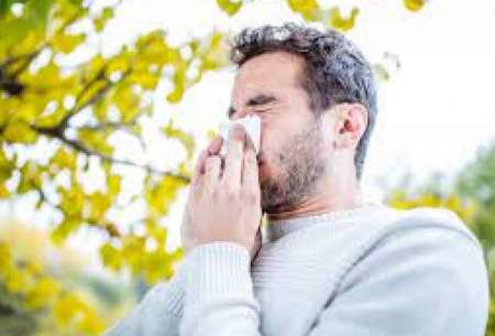 ۷ آنتی هیستامین طبیعی برای کاهش آلرژی