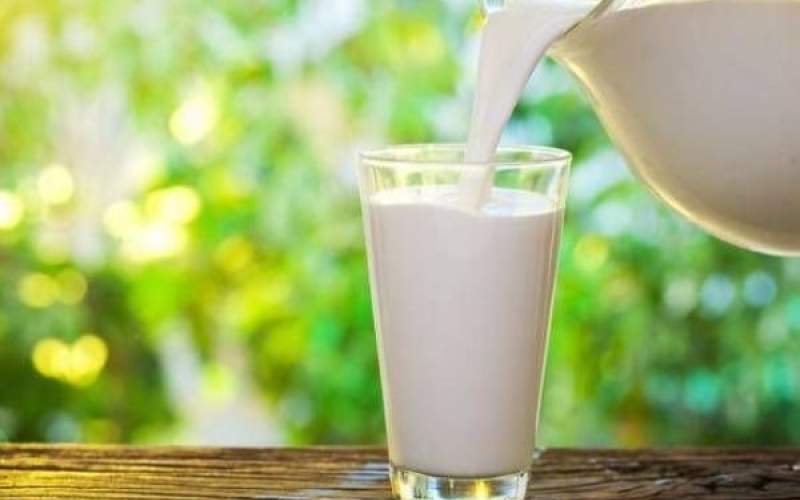 سرانه مصرف شیر در کشور ٣ لیوان در هفته